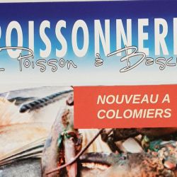 poissonabascule